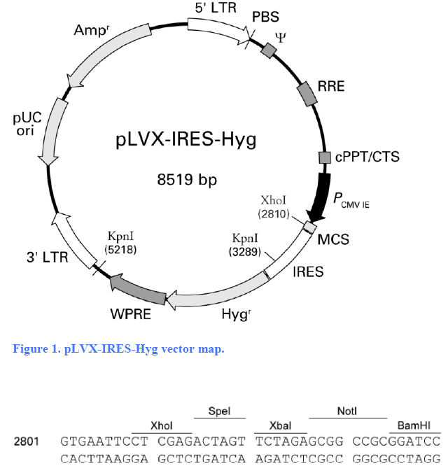 pLVX-IRES hygro (M)
