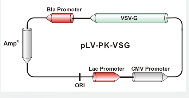 pLV-PK-VSG