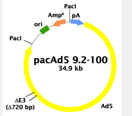 pacAd5 9.2-100