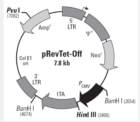 pRevTet-Off