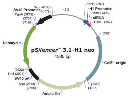 pSilencer 3.1-H1 neo