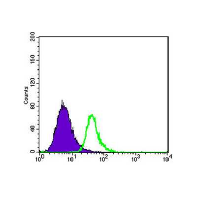  Flow cytometric analysis of HepG2 cells using ABCG2 Monoclonal Antibody (green) and negative control (purple).